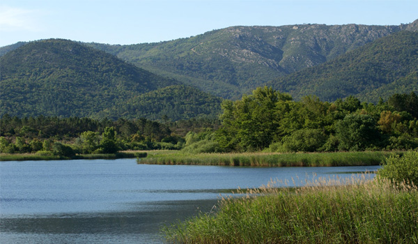 10 plus beaux lieux region ami soleil salagou