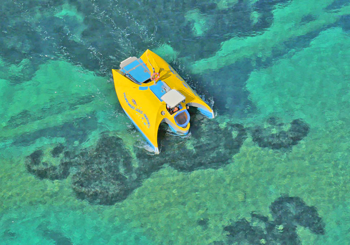 visiter aquascope bandol dans le var avec des enfants