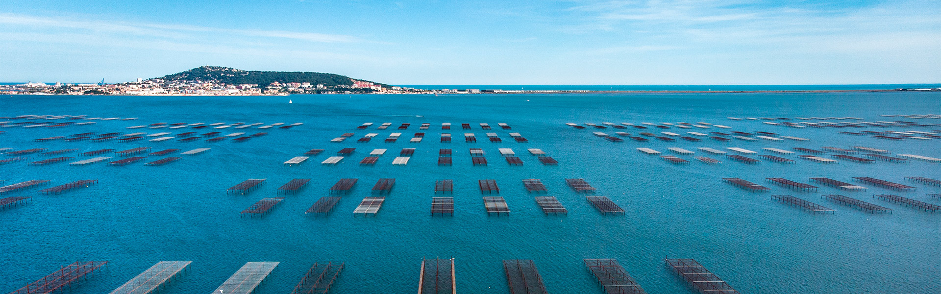 top 10 des plus beaux sites touristiques de l'Hérault Etang de Thau