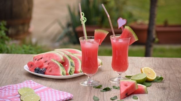 pastèque conseils vacances et canicule