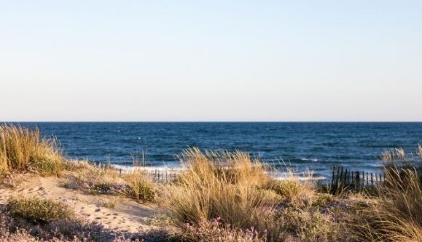 Camping au bord de mer dans le Herault