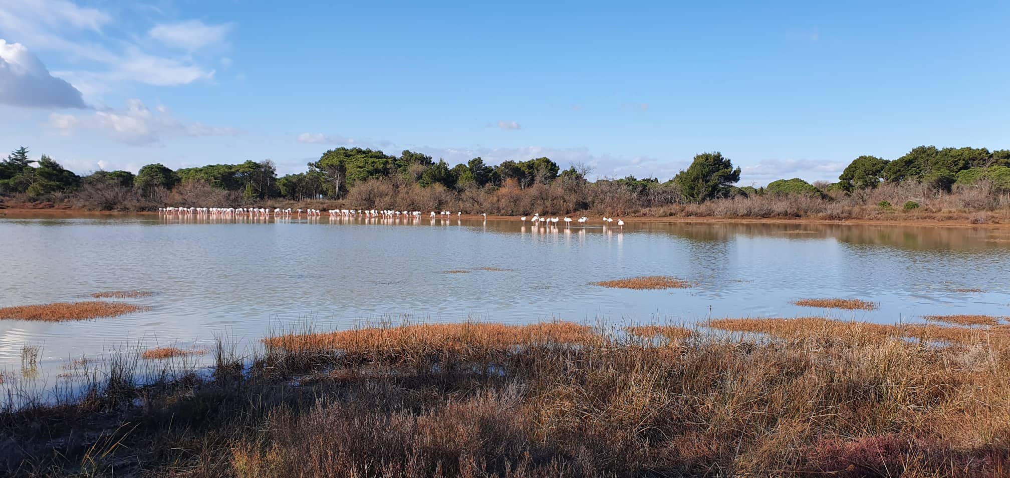 etang vendres randonnee herault