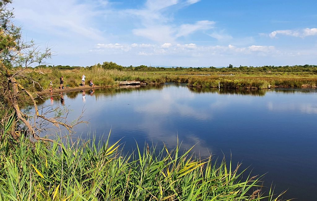 etang vendres randonnee herault