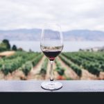 Vignoble - Var