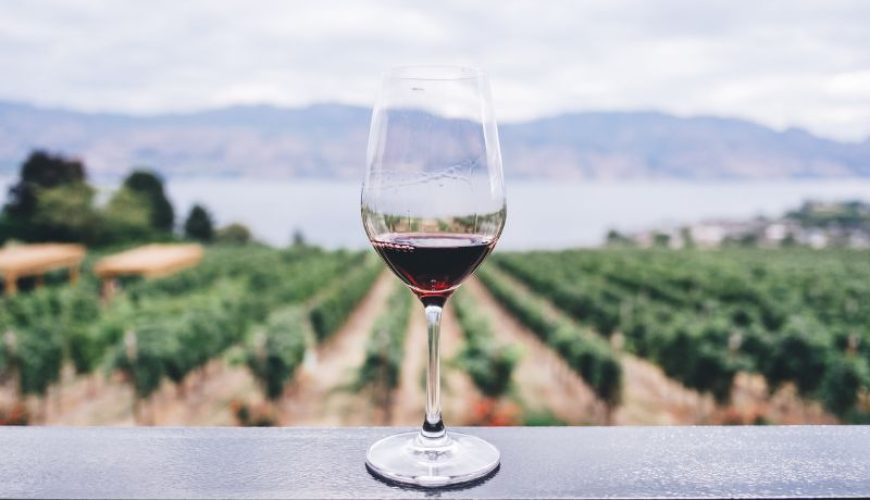 Vignoble - Var